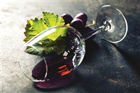 Newsletter Weinfestival