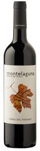 Viñas del Páramo Montelaguna Ribera del Duero DO 2023
