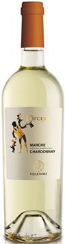 Chardonnay Circum Marche IGT