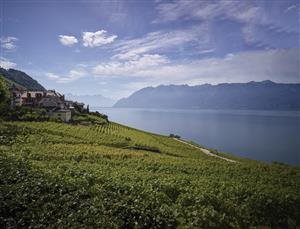 Fonjallaz - Clos de la République