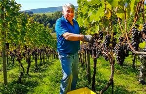 Müller Raphael, Urs und Rösli 