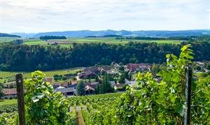 Müller Raphael, Urs und Rösli 