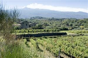 Pietradolce Pietradolce