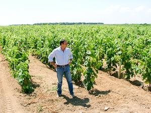 Compagnia Mediterranea