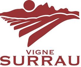 Surrau Vigne