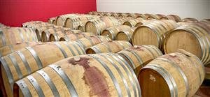 NESTOR Neukamp & Stadler NESTOR Neukamp & Stadler