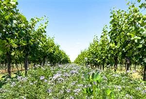 NESTOR Neukamp & Stadler NESTOR Neukamp & Stadler