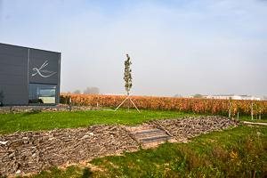 Kerschbaum Maria, by David Kerschbaum