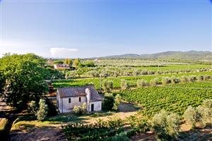 Poggio al Tesoro Poggio al Tesoro