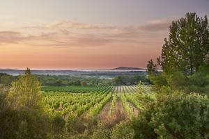 Pierre Chavin Pierre Chavin