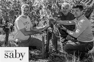 Vignobles Saby