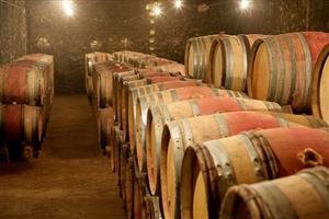 Michel Chapoutier Michel Chapoutier