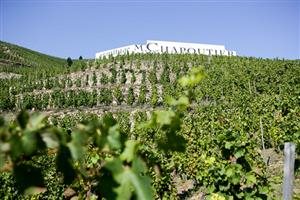 Michel Chapoutier Michel Chapoutier