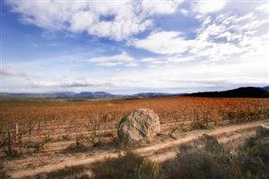 Michel Chapoutier Michel Chapoutier