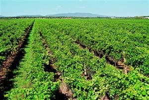 Johanneshof Reinisch Johanneshof Reinisch