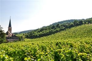 Johanneshof Reinisch Johanneshof Reinisch