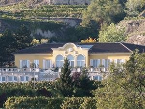 Vitikultur Moser (Sepp Moser)