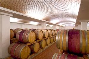 Vitikultur Moser (Sepp Moser)