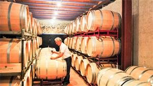 Sangenís i Vaqué Sangenís i Vaqué