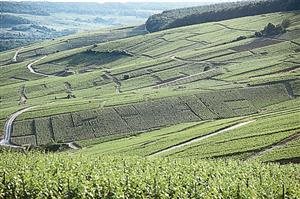 Charles Ellner Charles Ellner