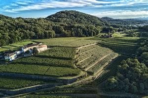 Agriloro Tenimento dell'Ör